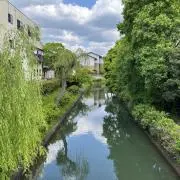 Mamirinの画像