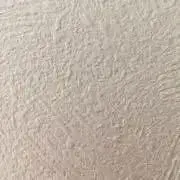 A asa