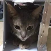 やまちょ  購入後の連絡希望します❗️の画像
