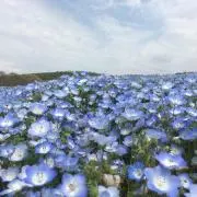 krmtの画像