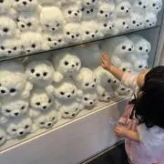 Hanaの画像