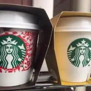 マッシュルームの画像