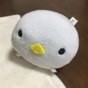 kanaの画像