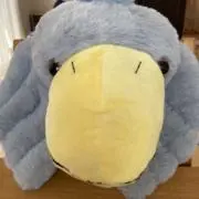 ハシビロコウの画像