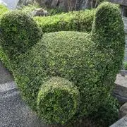 cheenyanの画像