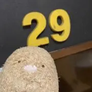 ＊睡蓮＊の画像