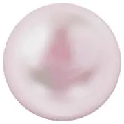 即購入⭕️の画像