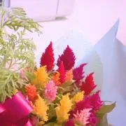 anchannの画像