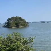 志保の画像