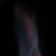 ねりちゃんの画像