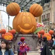 Apple３の画像