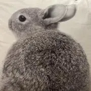 ファイト❣️