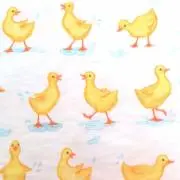 まーの画像