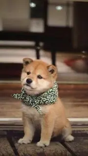 まさ