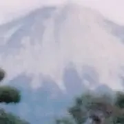 maiの画像