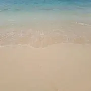 りら。の画像
