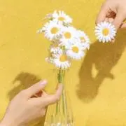 ゆき
