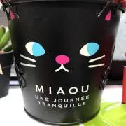 ぴーみみちゃんの画像