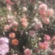 naの画像