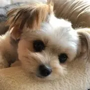まきちゃん