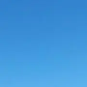 まいまいの画像