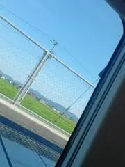 tmtの画像