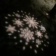 snowdropの画像
