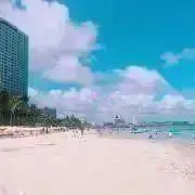 ARの画像