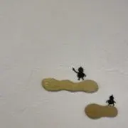 きき