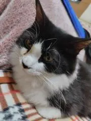 ひだまり