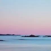 のび