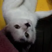 うっしゃん☺️の画像
