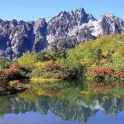 yhrの画像
