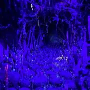 soraの画像