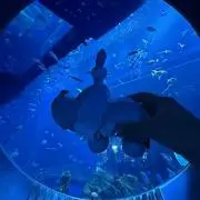 れあの画像