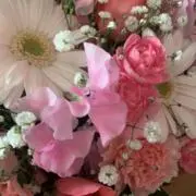 mamu mamu☆の画像