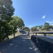 Ｔの画像