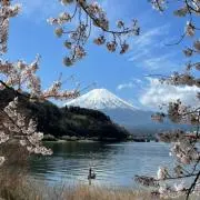 mnogu0120の画像