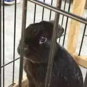 ユー