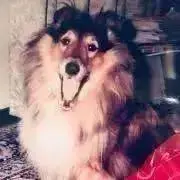 RIOの画像