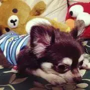 しお⚠︎プロフィール必読　無言取引◎の画像