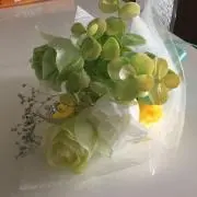 オードリー❣️