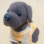 viviの画像