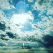 きなこの画像
