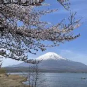 あきの画像