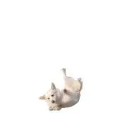 じゃがりこの画像