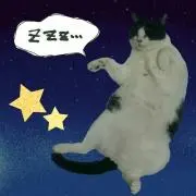こたろうの画像