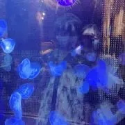れいの画像