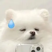 カラット