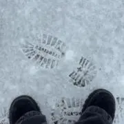 すしの画像